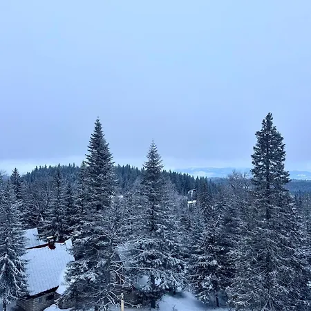 Bella Lux Appartement Jahorina